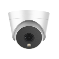 TSi-E02F Tantos Видеокамера IP